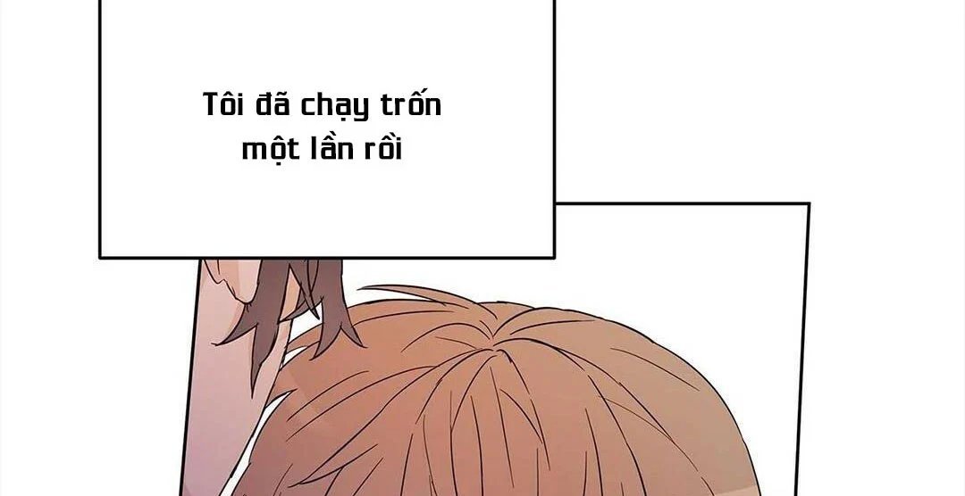 guide cấp b chapter 17 147