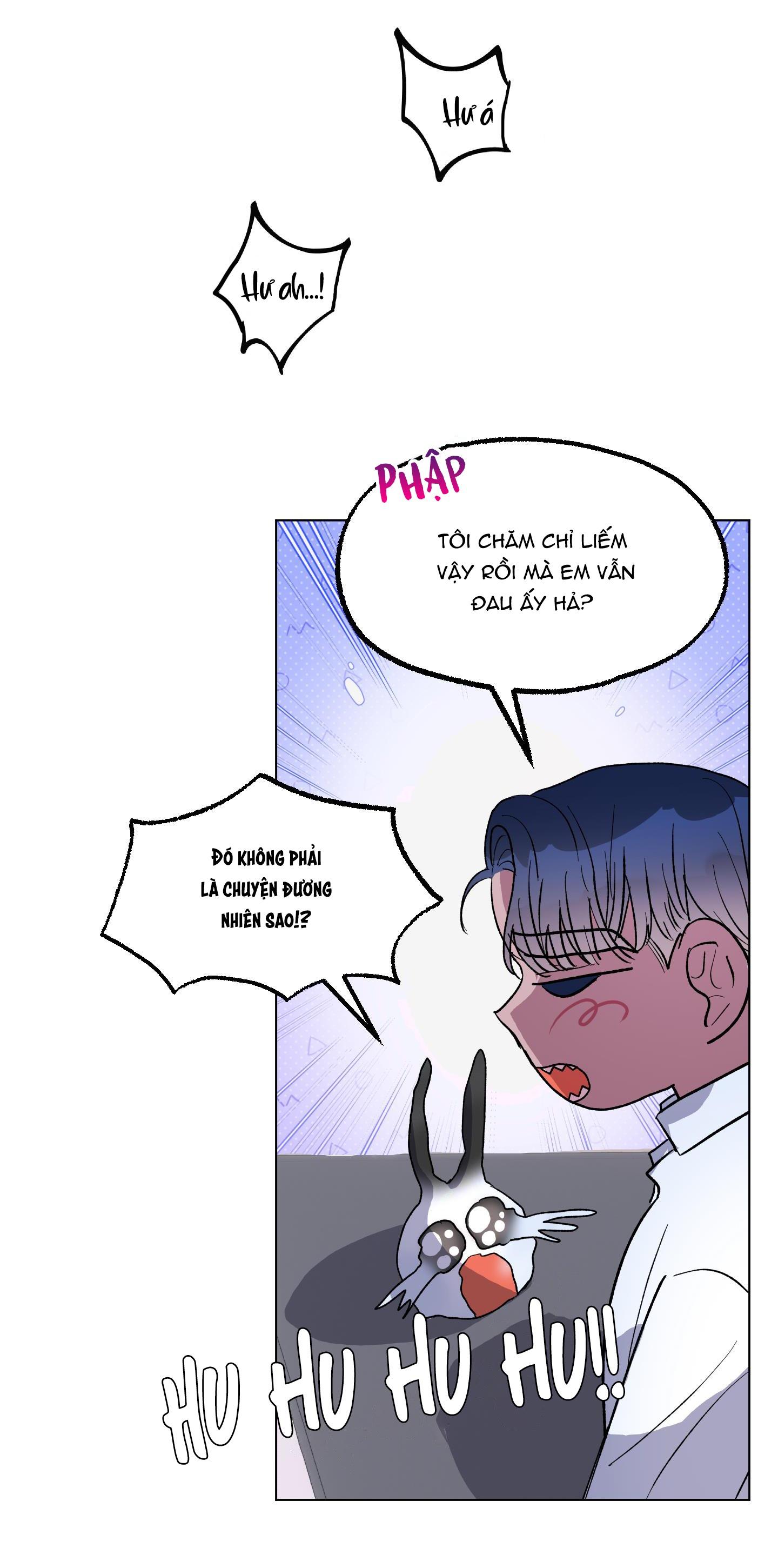 cá mập và cô dâu thỏ chapter 7 39