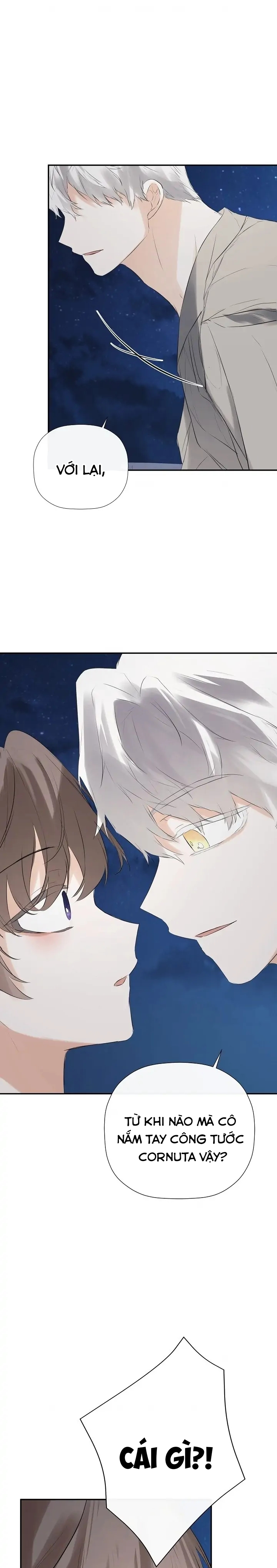 tôi biết bí mật của nam phụ chapter 41 14