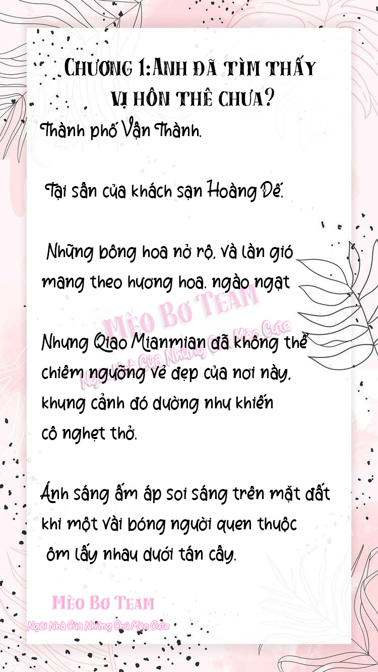 tôi bí mật kết hôn với một big shot chapter 1 3