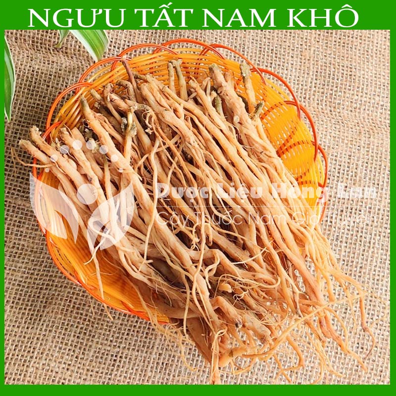 500g Ngưu Tất Nam sấy khô loại 1