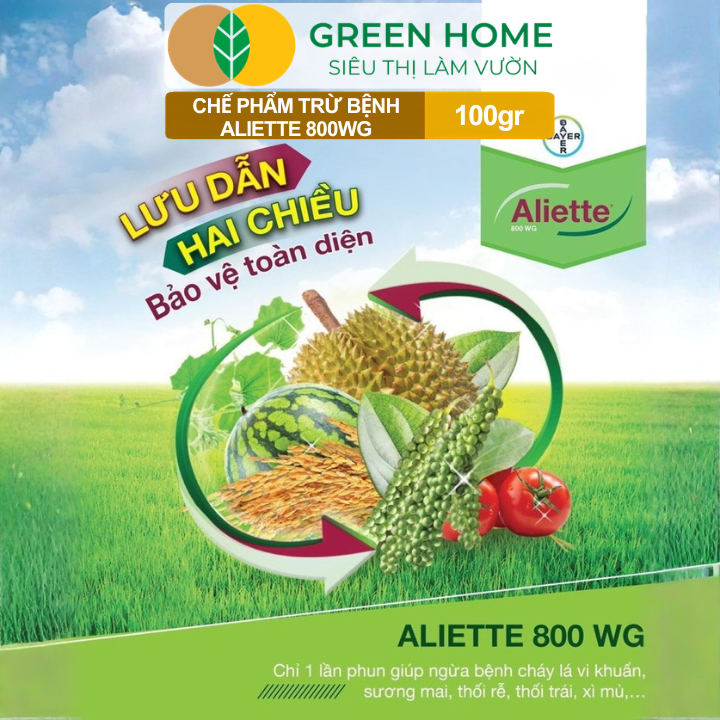 Chế Phẩm Trừ Bệnh Aliette 800WG GreenHome, Gói 100gr, Đặc Trị Thối Rễ, Lở Cổ Rễ, Xì Mủ Cho Cây Trồng