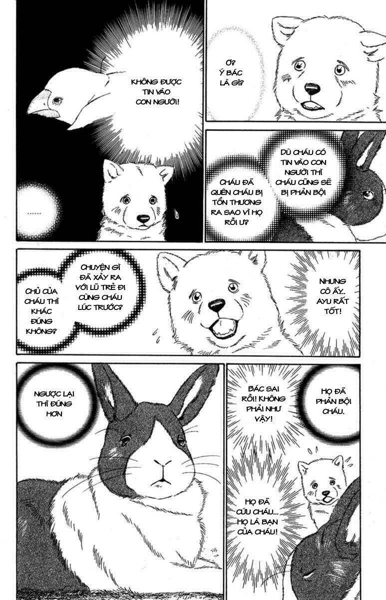 deep love - pao no monogatari chapter 7 43