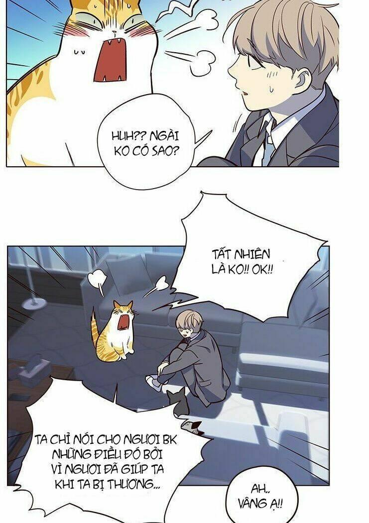 biến thân thành mèo chapter 8 32