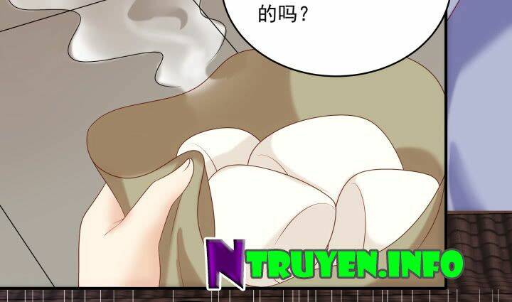 đô đốc đại nhân sủng thê kí chapter 13.1 29