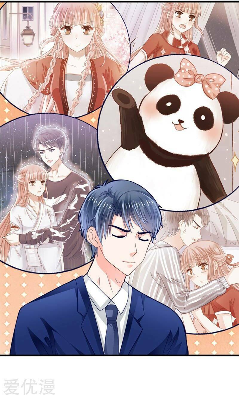 tôi bị gấu trúc nhìn trúng rồi chapter 17 27