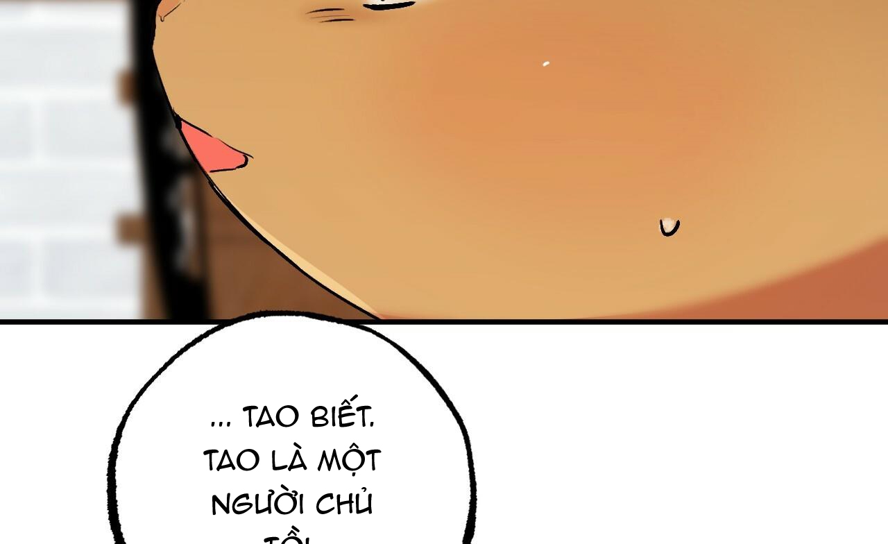 đàn thỏ của habibi chapter 45 179