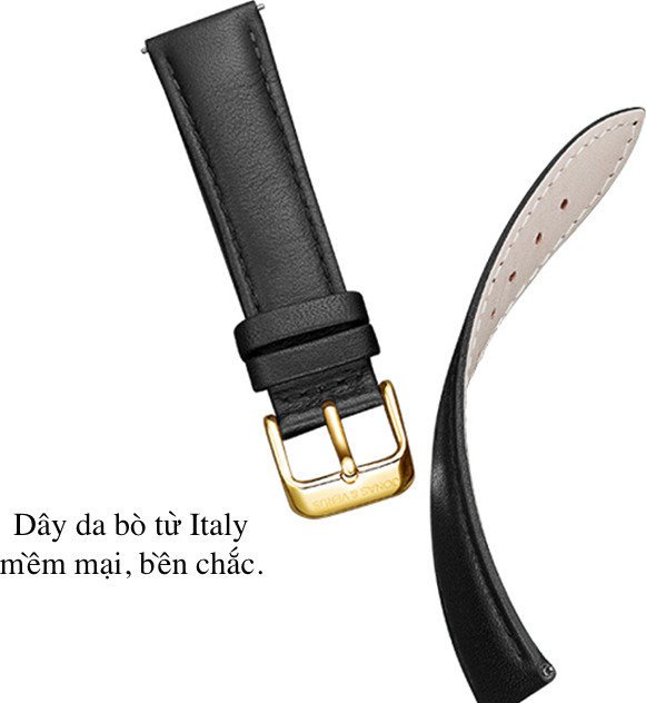 Đồng hồ đeo tay Nam hiệu JONAS & VERUS Y01563-A0.PPWLB, Máy Cơ , Kính mo tráng sapphire, Dây da Italy