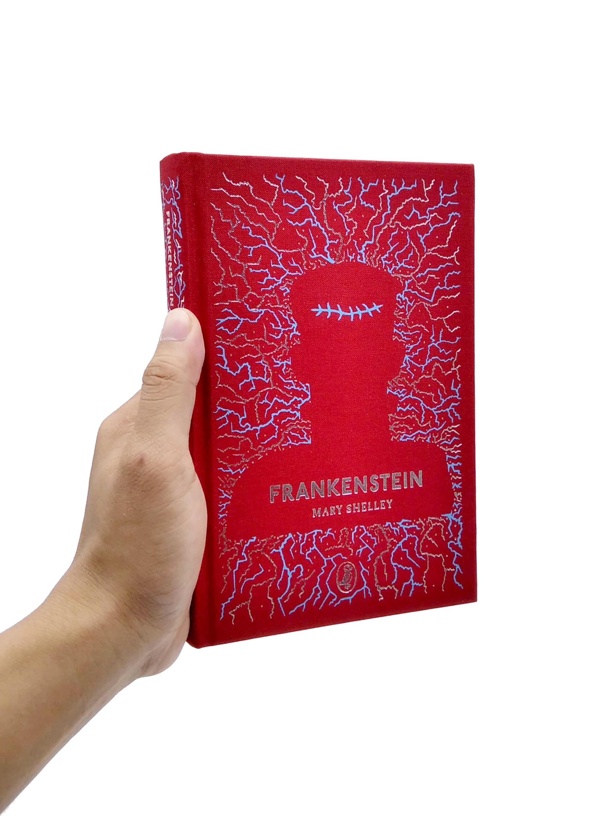 Frankenstein: Puffin Clothbound Classics