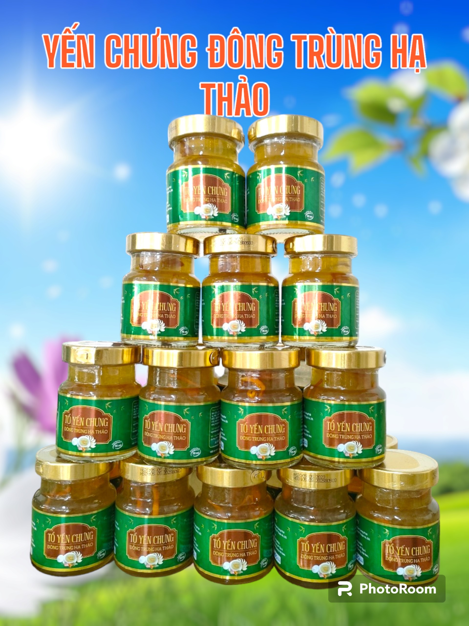 set 6 hủ yến Đông Trùng Hạ Thảo