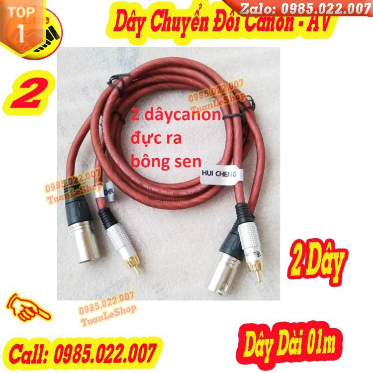 BỘ 2 DÂY CHUYỂN ĐỔI TÍN HIỆU TỪ CANON ĐỰC SANG AV BÔNG SEN