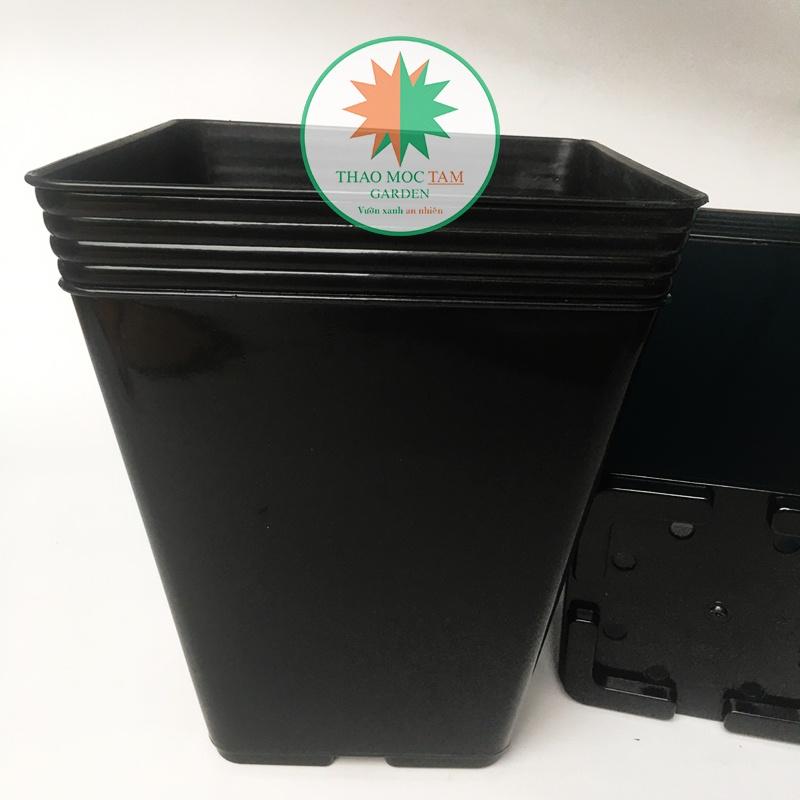 Bộ 05 Chậu Vuông Dày 28x33cm Trồng Hoa Hồng, Sung Mỹ, Cây Kiểng – Chất liệu nhựa PP, có độ dẻo chất lượng cao