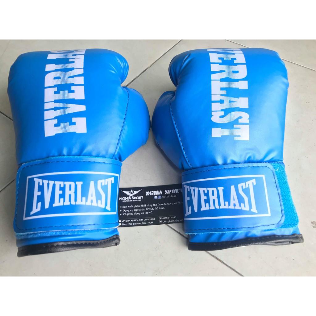 1 cặp găng boxing everlast