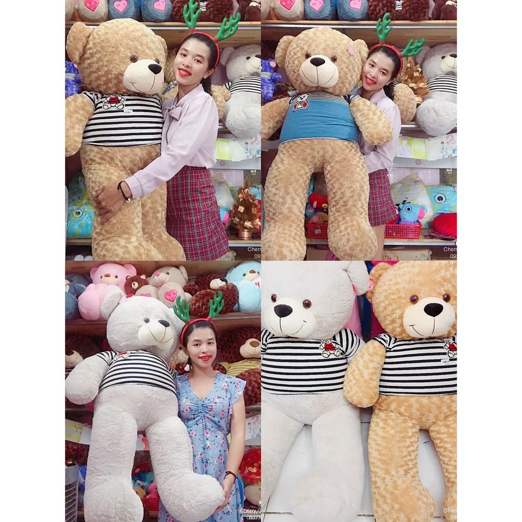 Gấu Bông Teddy Cao Cấp Giá Sốc 1m4 Ảnh Shop Chụp