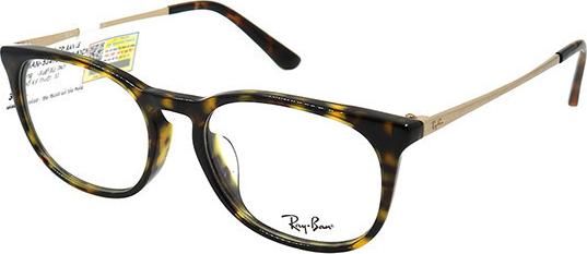 Gọng Kính Unisex Rayban RB5349D 2012