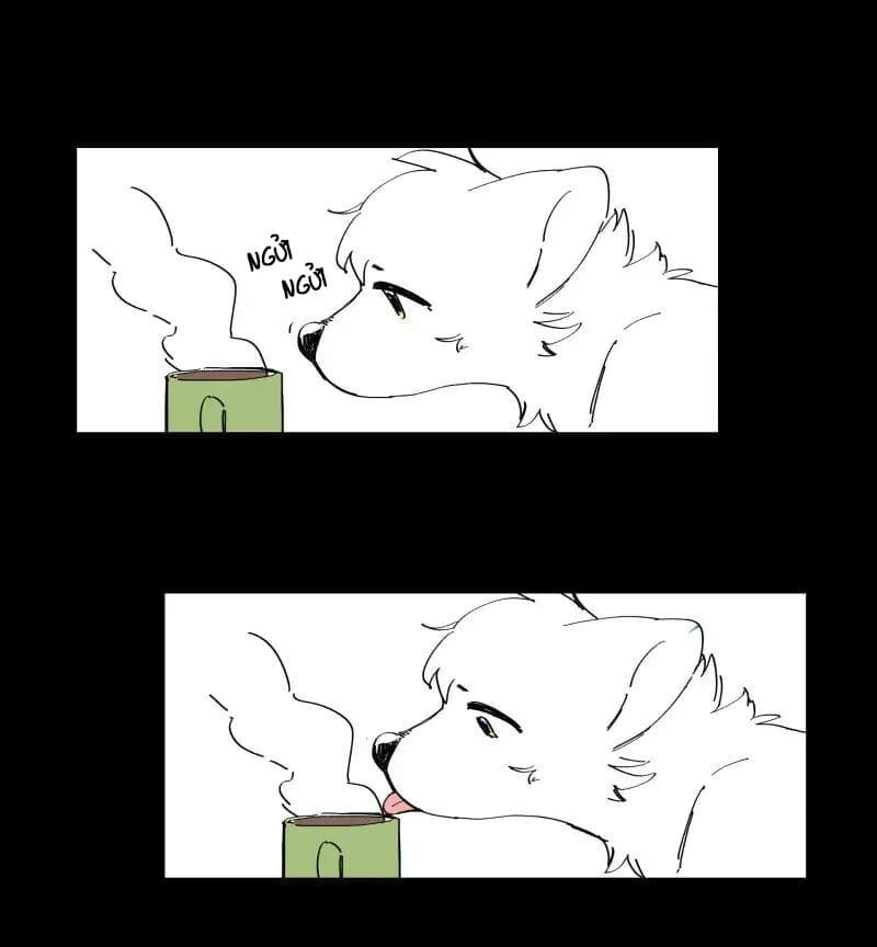 lumine - cội nguồn ánh sáng chapter 64 22