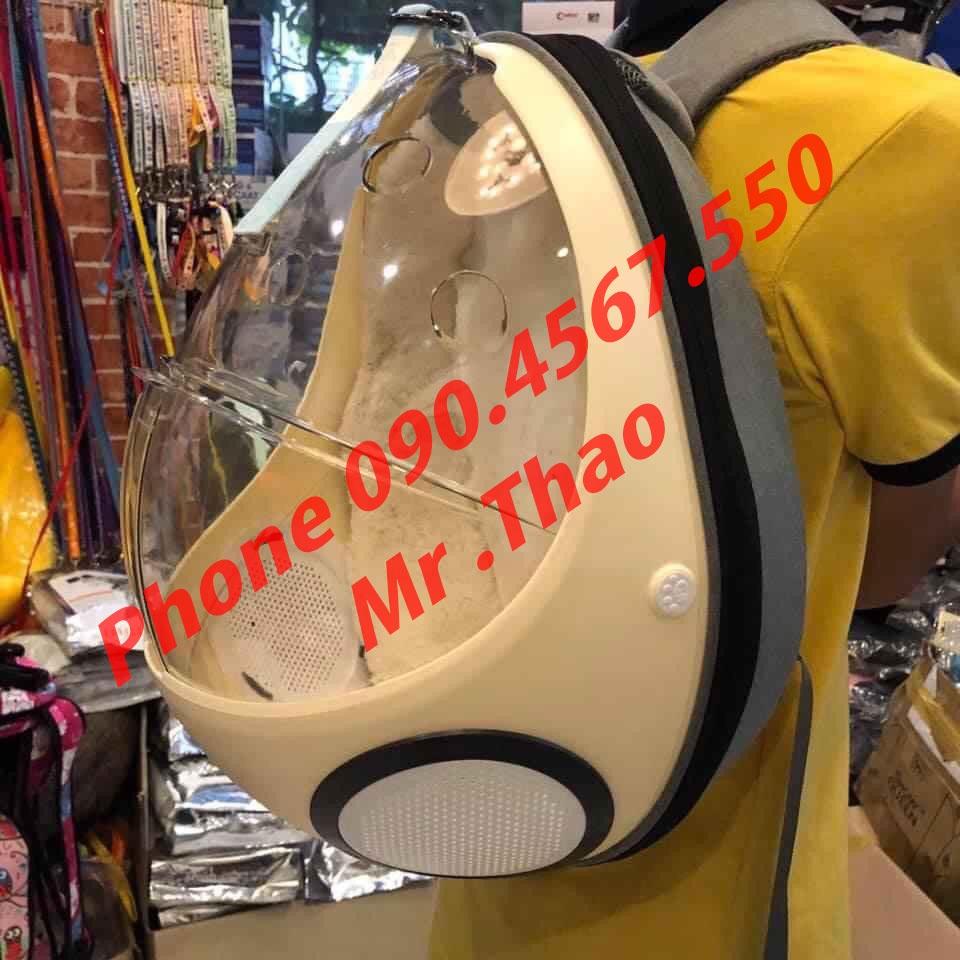 Balo Bọ Dừa - Balo Trong Suốt Cho Chó Mèo - Balo Bọ Rùa