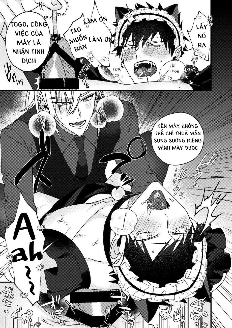 oneshot bl từ nhiều tác giả - mlèo dịch chapter 11 19