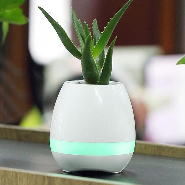 Loa bluetooth kiêm chậu trồng cây