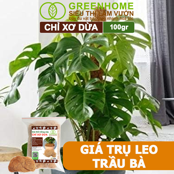 Chỉ Xơ Dừa Greenhome, Bao 100gr, Chuyên Dùng Giá Thể Trồng Lan, Kiểng Lá, Đắp Gốc Giữ Ẩm Cây Trồng