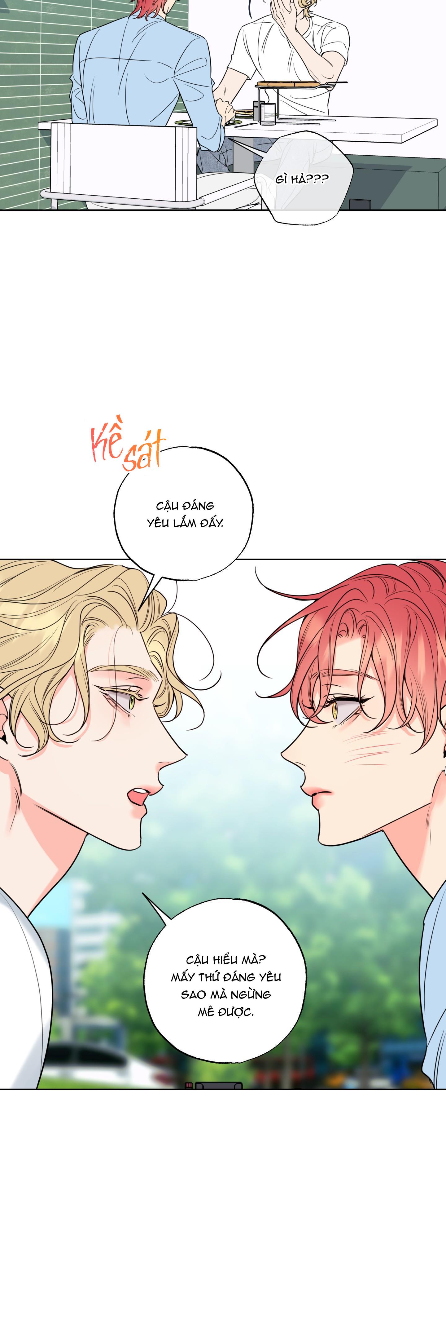 mật ong nhà làm chapter 14 48