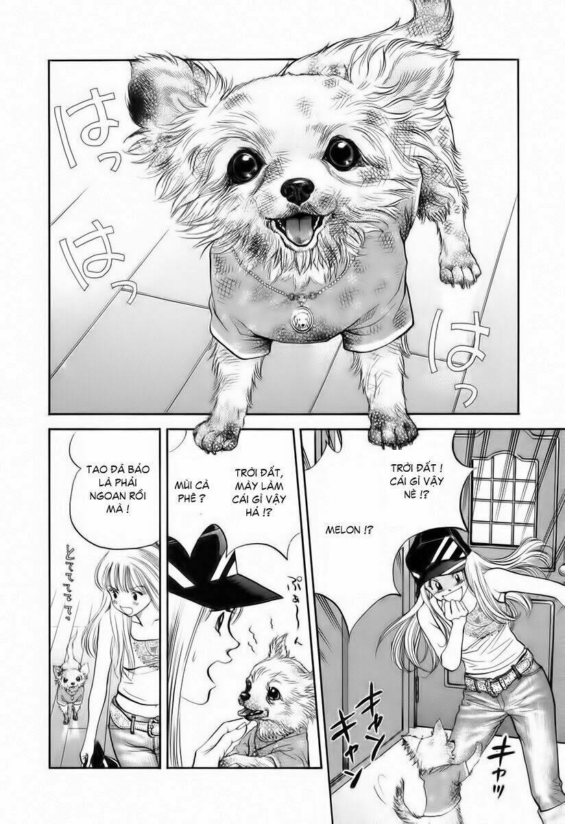 cô nàng yêu chó chapter 34 5