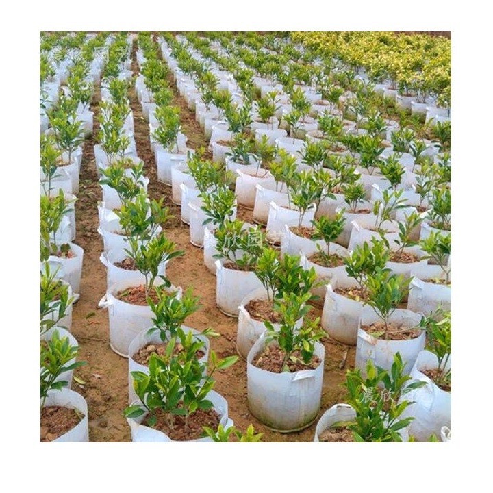 Túi Vải Trồng Cây 2 Quai Xách Kích Thước 40x30cm