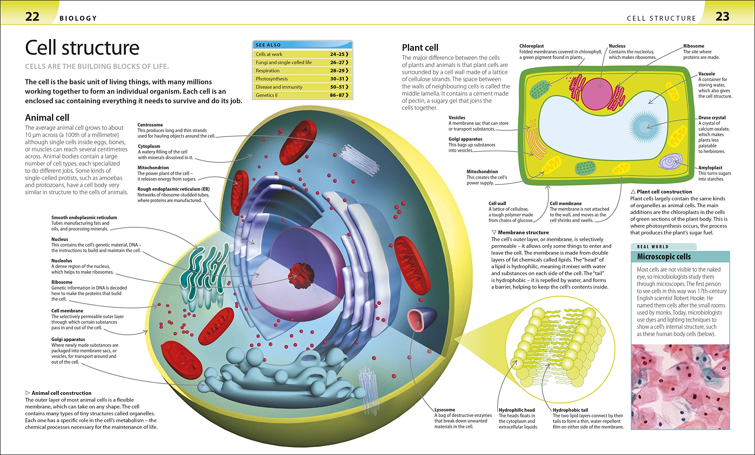 Sách Help Your Kids with Science : A Unique Step-by-Step Visual Guide, Revision and Reference ( Giúp Con Bạn Làm Quen Với Khoa Học ) - Sách Khám Phá, Tổng Hợp Kiến Thức Khoa Học Cho Trẻ Từ 8 Tuổi Đến 15 Tuổi - Á Châu Books, Bìa Mềm, In Màu