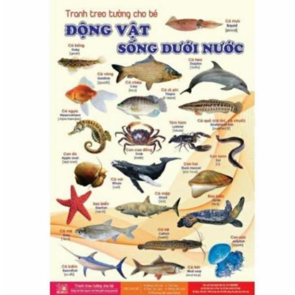 Bộ Tranh Treo tường cho bé về thế giới xung quanh