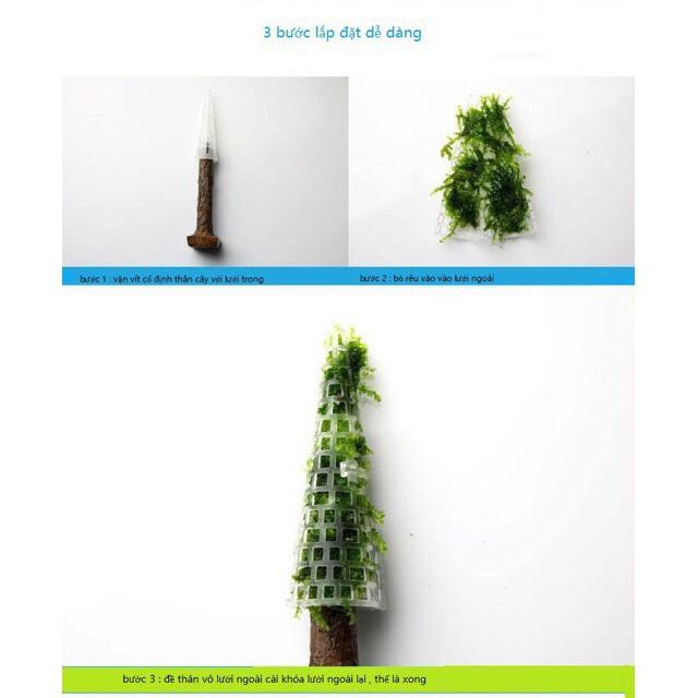 Cây trang trí thủy sinh “x’mas tree”cây thông