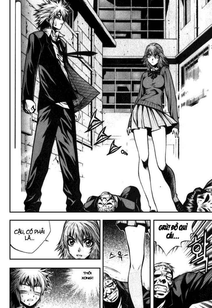 zippy ziggy chapter 4 13