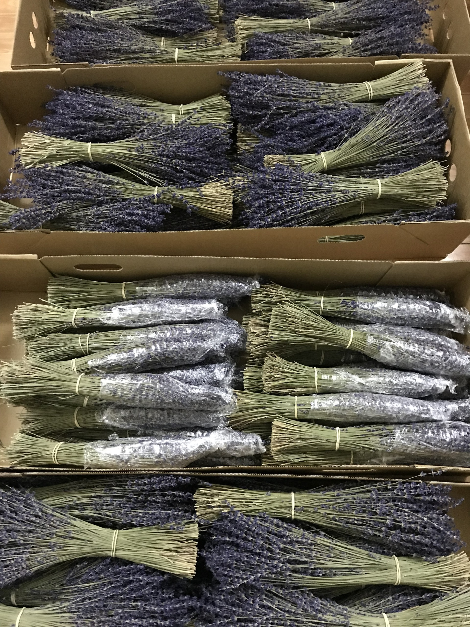 Hoa oải hương Lavender khô nhập khẩu Pháp organic mùi thơm tự nhiên trang trí decor nhà cửa (Bó 75 cành)