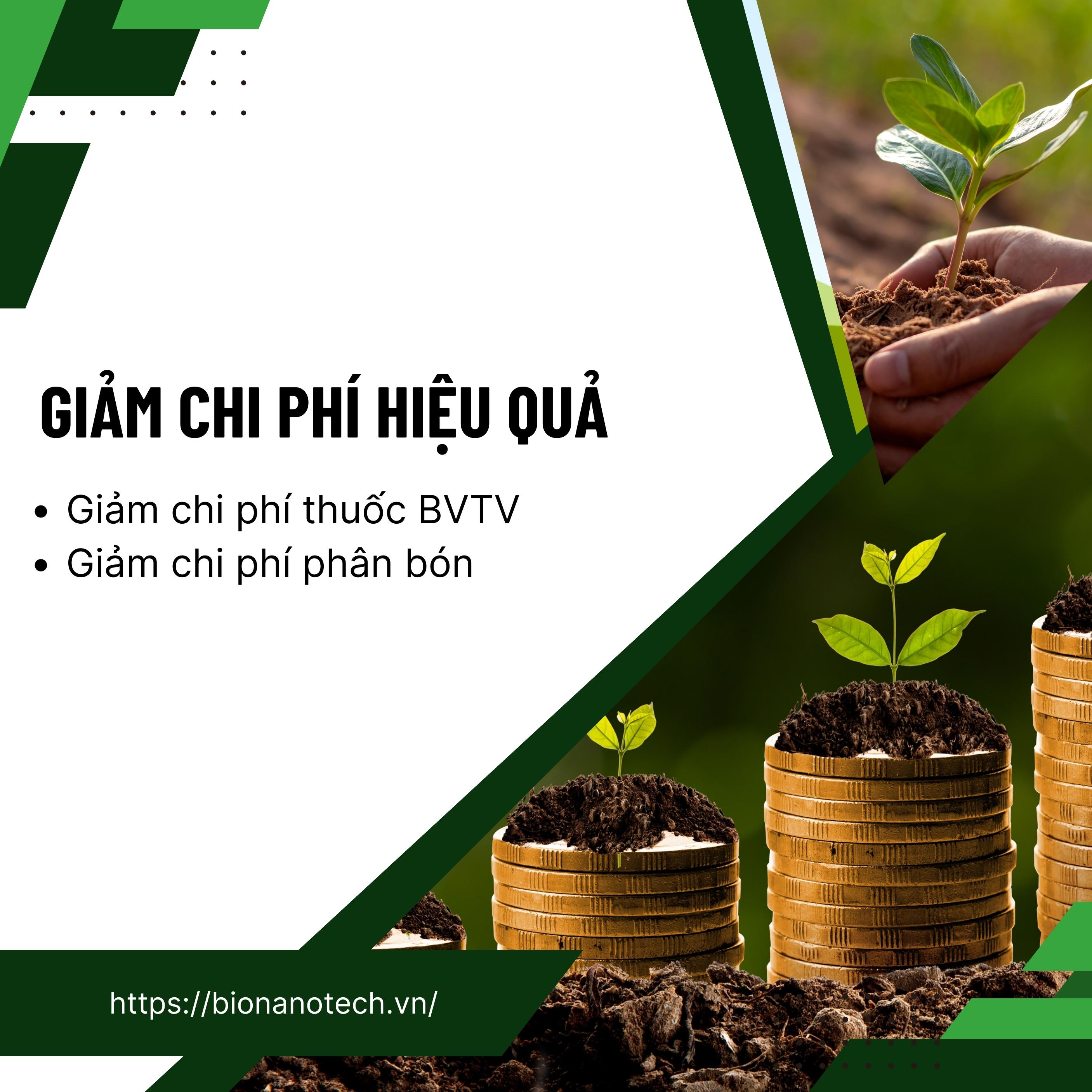 Phân bón lá vi lượng Super-Thives Plus CANXI BO KẼM giúp trái to đều, tăng tỷ lệ đậu trái và tăng sức đề kháng cho cây trồng