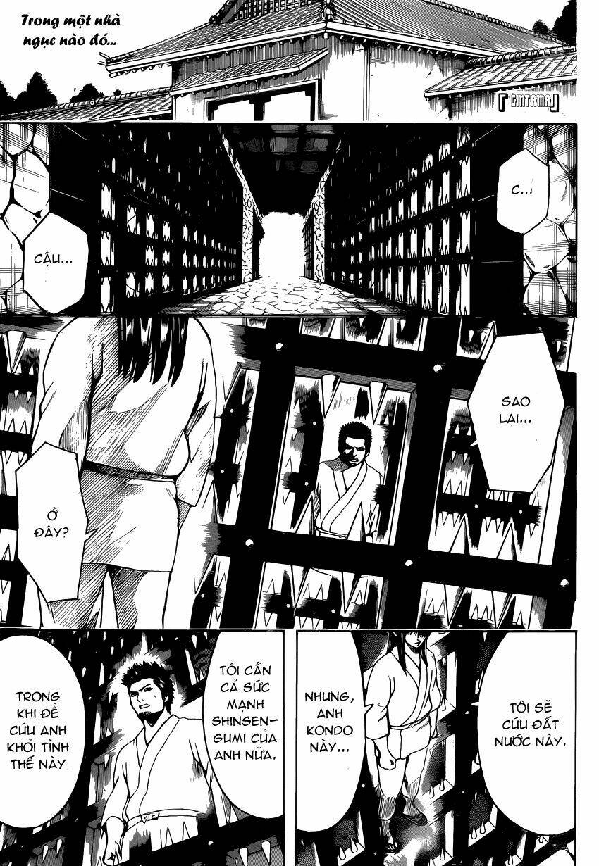 gintama - linh hồn bạc chapter 529 2
