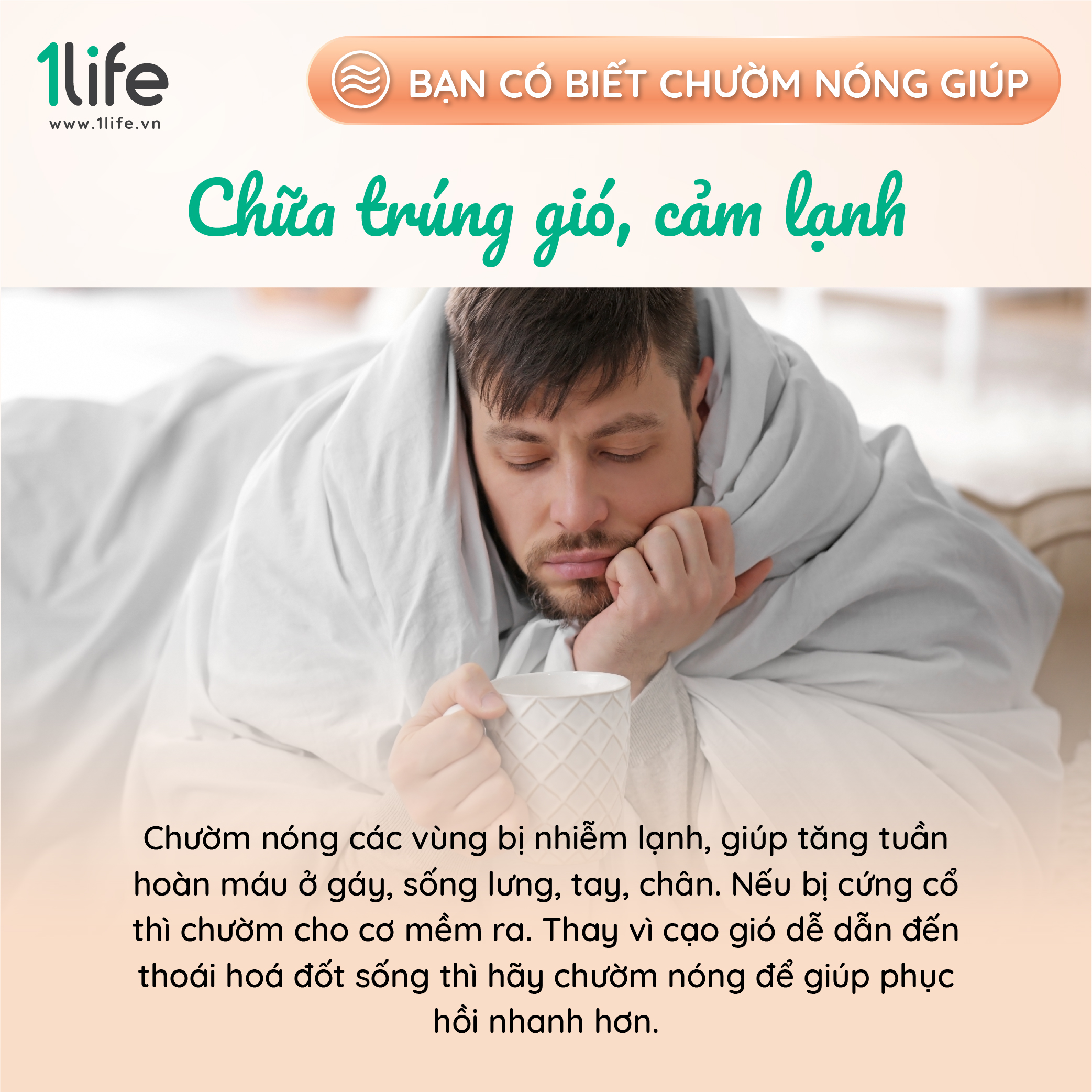 Gối thảo dược mùi hương hoa oải hương &amp; bạc hà 1LIFE