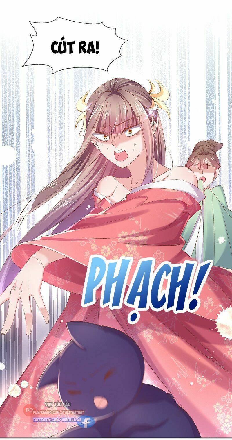thị huyết y phi chapter 107 11