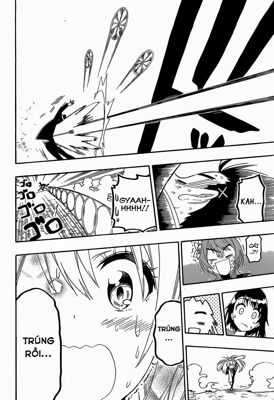 nisekoi - tình yêu giả tạo chapter 156 13