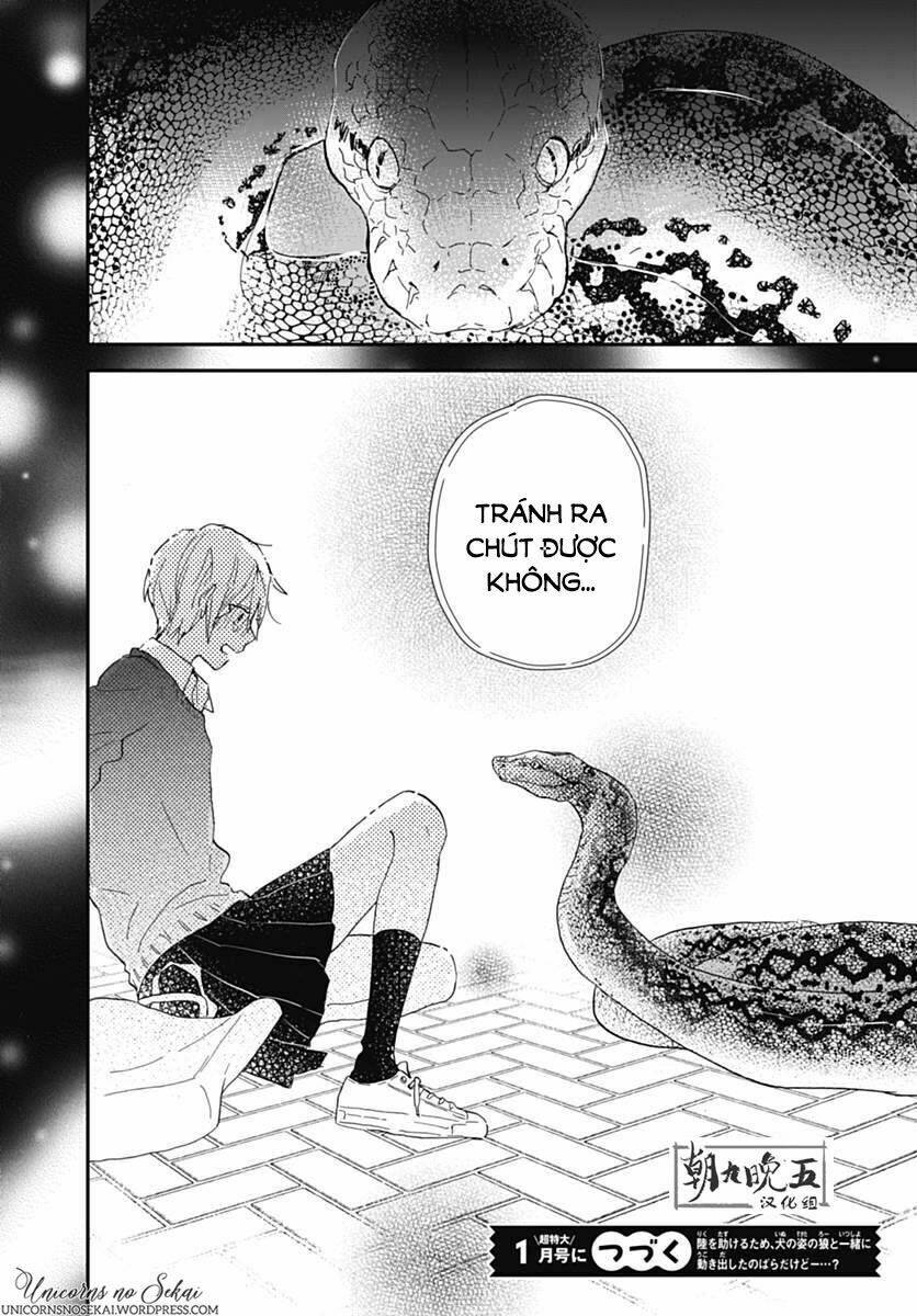 kimi to wonderland chapter 6 44