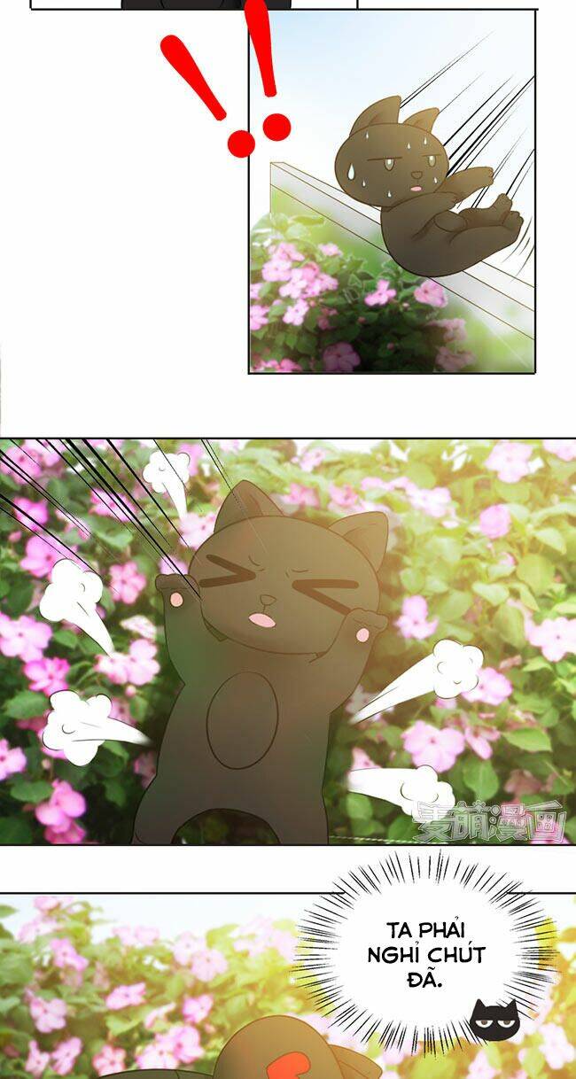 tổng tài ma cà rồng tha cho tôi chapter 23 5