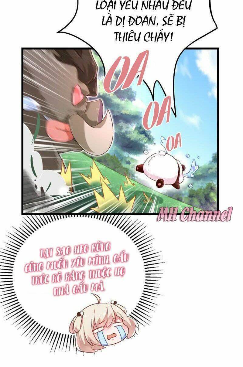 thiên thần gấu trúc muốn được ôm chapter 3 12
