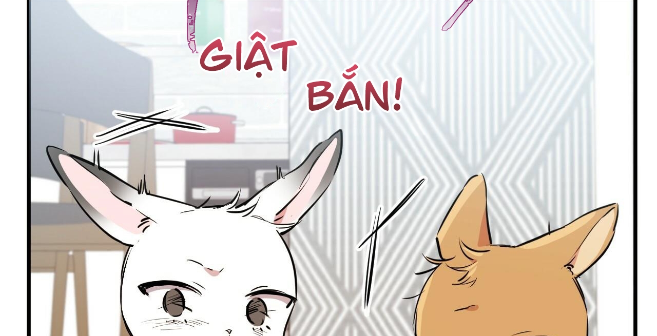 đàn thỏ của habibi chapter 36 72
