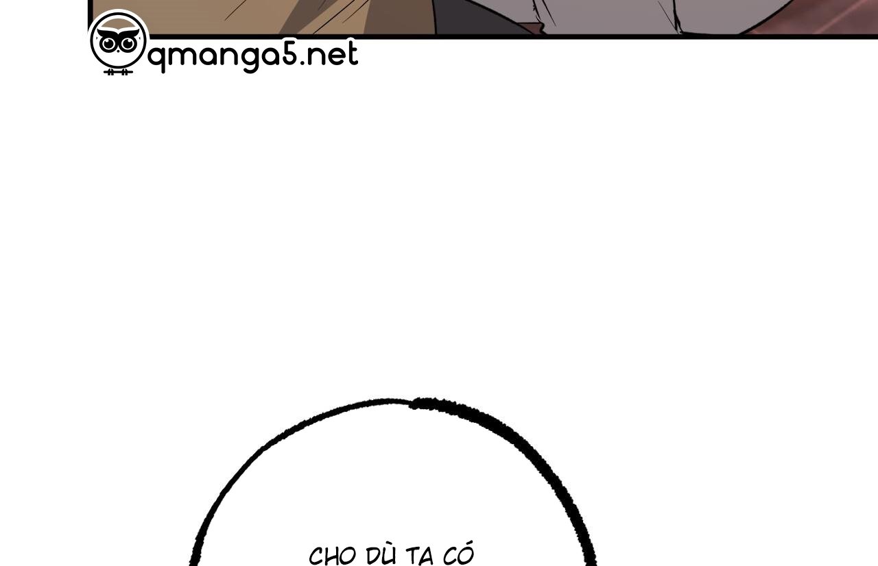 những chú thỏ của hapypy chapter 62 211