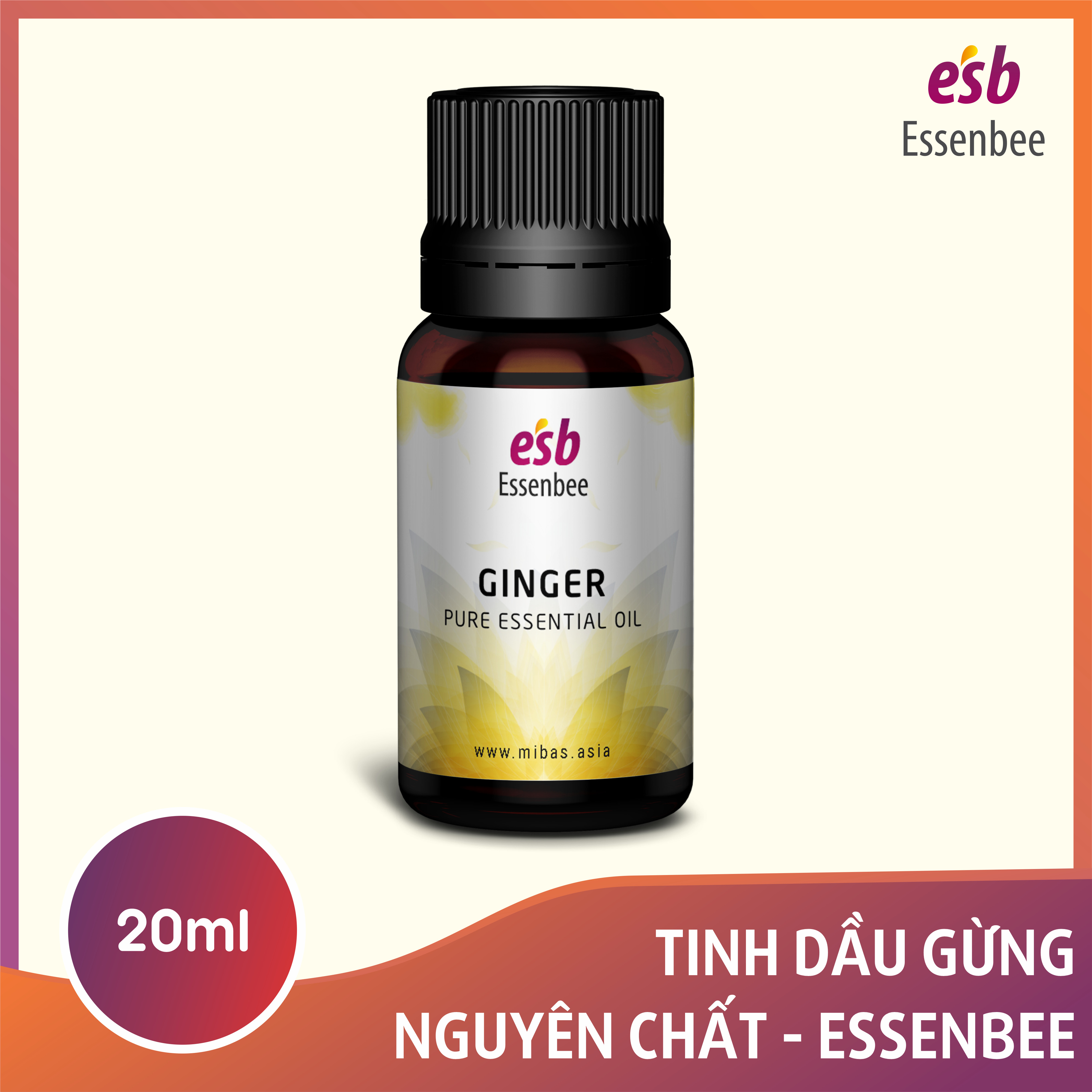 Tinh dầu Gừng – Essenbee – 20ml