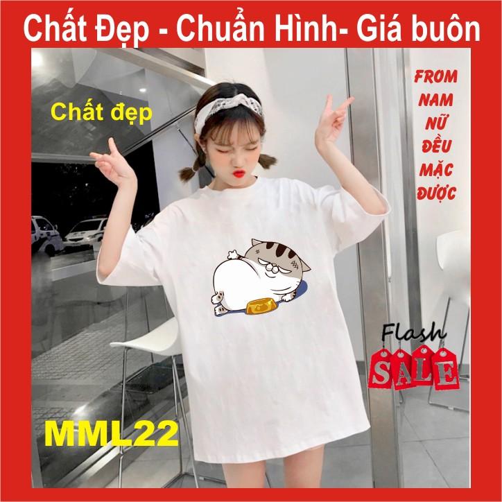 Áo thun mèo cat ami bụng bự M21,UNI SIZE FREE SIZE ,tay lỡ