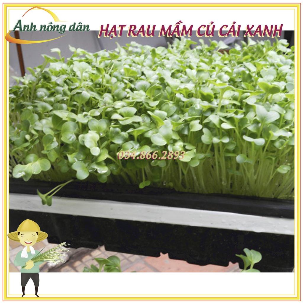 Gói 1kg Hạt rau mầm rau Củ cải Trắng - nảy mầm đều, 7 ngày thu hoạch