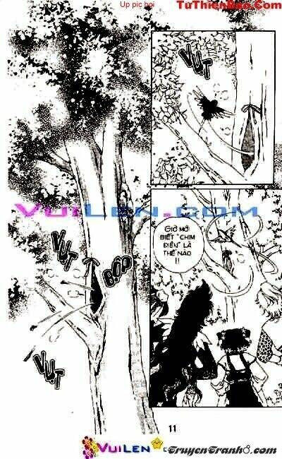 đóa hoa yêu kiều chapter 8 12