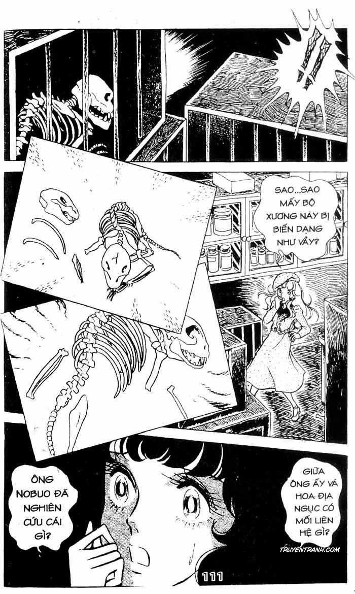 akuma no hanayome (bride of deimos) chapter 1.2 12