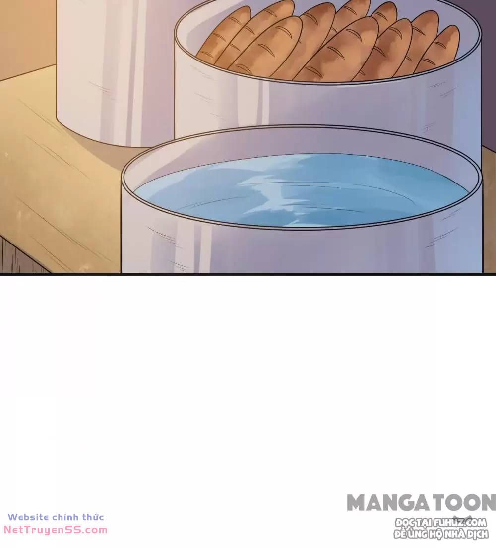 Tôi Sống Trên Hoang Đảo Cùng Các Em Gái chapter 257 20