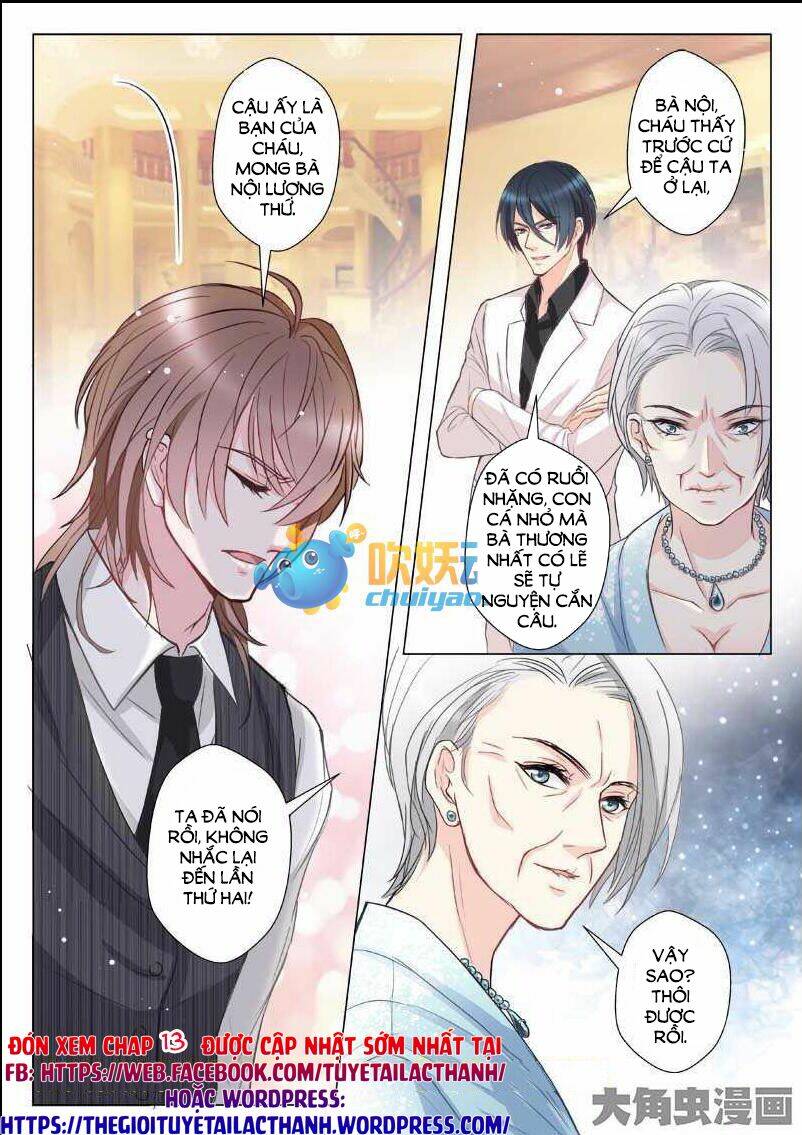 the stars are not luminous body chapter 12 8