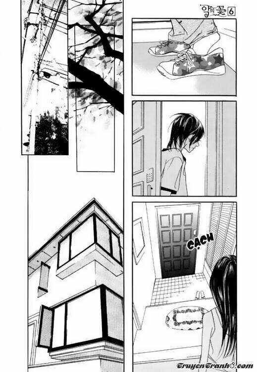 bông hoa của tội lỗi chapter 22 38